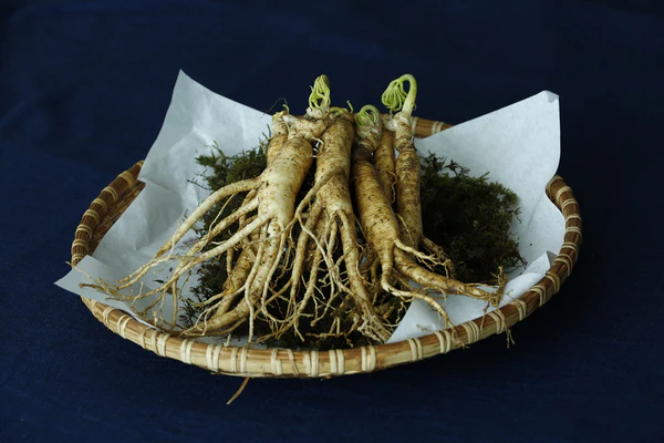 10 benefits of ginseng